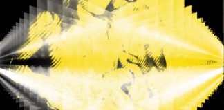 Fedde Le Grand – Immortal feat. Erene (Şimdi Dinle)