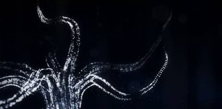 DJ Alina Baraz & DJ Galimatias – Drift (Şimdi Dinle)